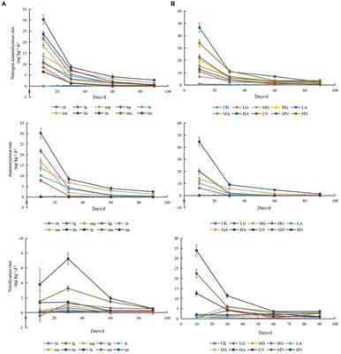 Nitrogen-cycling microbial communities respond differently to nitrogen addition under two contrasting grassland soil types